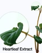 ANUA Heartleaf LHA Moisture Peeling Gel – 120ml - Image 5