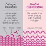 NeoCell Marine Collagen – 120 Capsules - Image 5