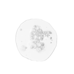 The Ordinary Balancing & Clarifying Serum – 30ml - Image 2