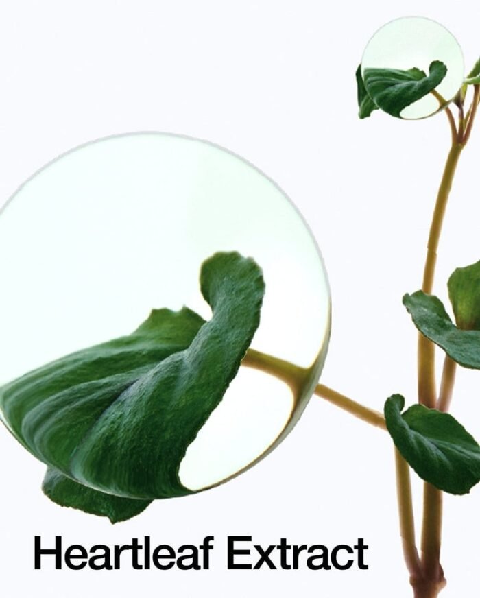 ANUA Heartleaf Pore Control Cleansing Oil - Image 5