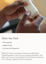 Beauty Of Joseon Matte Sun Stick : Mugwort+Camelia (SPF 50+ PA++++) – 18g - Image 2