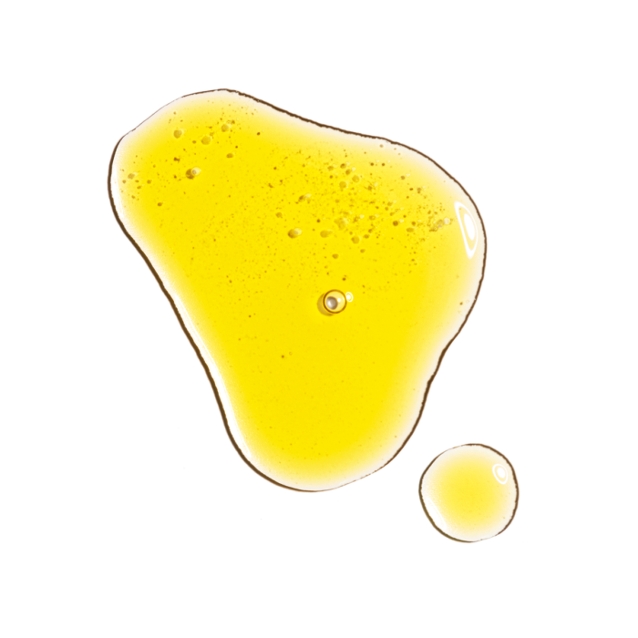 The Ordinary Resveratrol 3% + Ferulic Acid 3% – 30ml - Image 3