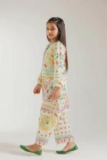 Premium Cotton Printed Two Piece Stitched Suit - Pale Green - Image 5